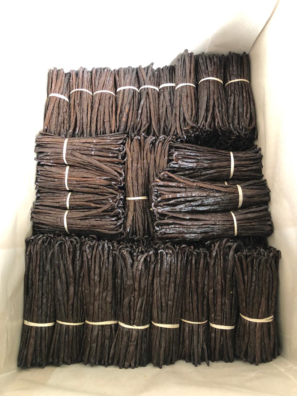 Grade A vanilla bundles