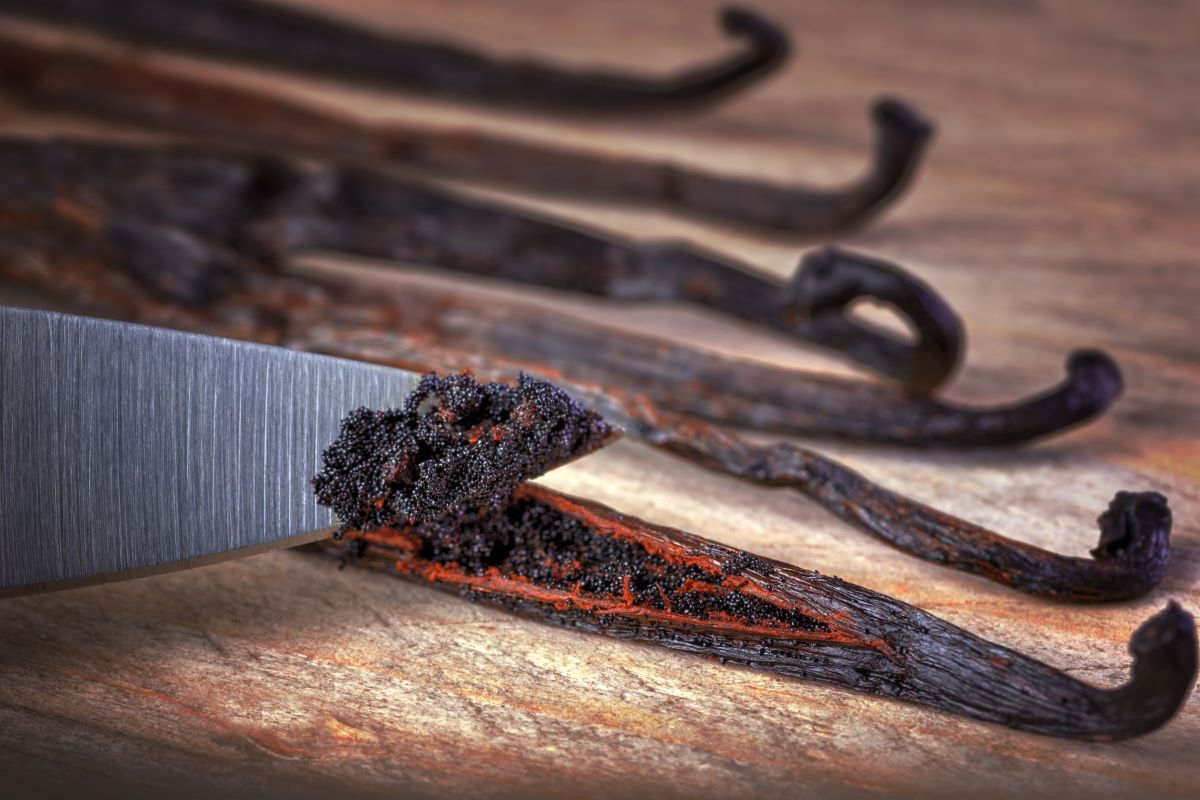 Vanilla bean split open revealing thousands of caviar seeds — the black gold