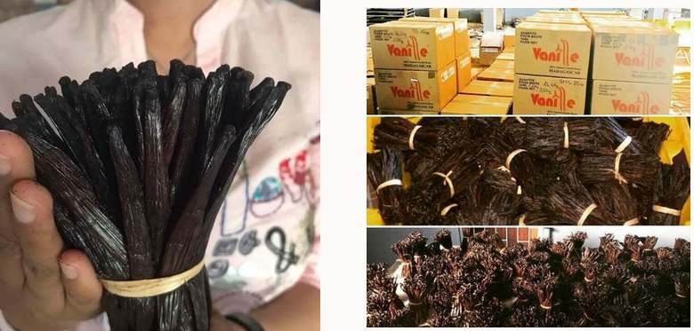 Premium Madagascar Vanilla Beans